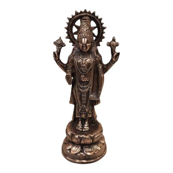 Sharu Space Standing Balaji - 18