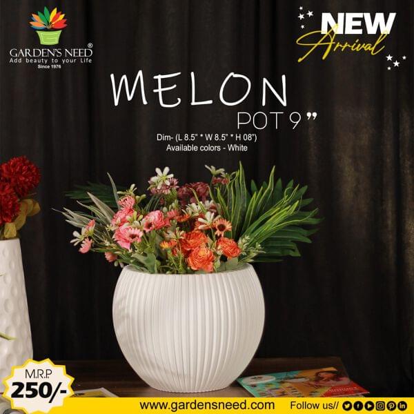 Melon Pot 9" GARDENS NEED