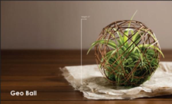 Geo Ball | Sanjay Nursery - CAPPL