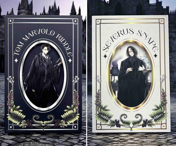Tom Riddle Snape AGENDA POTTER SNAPE-TOM RIDDLE Cantidad mínima de venta: 2 unidades ...