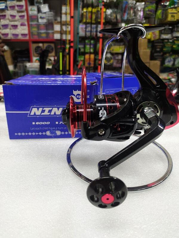 贝壳光 5cm×5m 85cm/loop 鱼乐图 NNDL003 貝殼母貝項鍊小美人魚系列ALUXE 亞立詩線上購物站