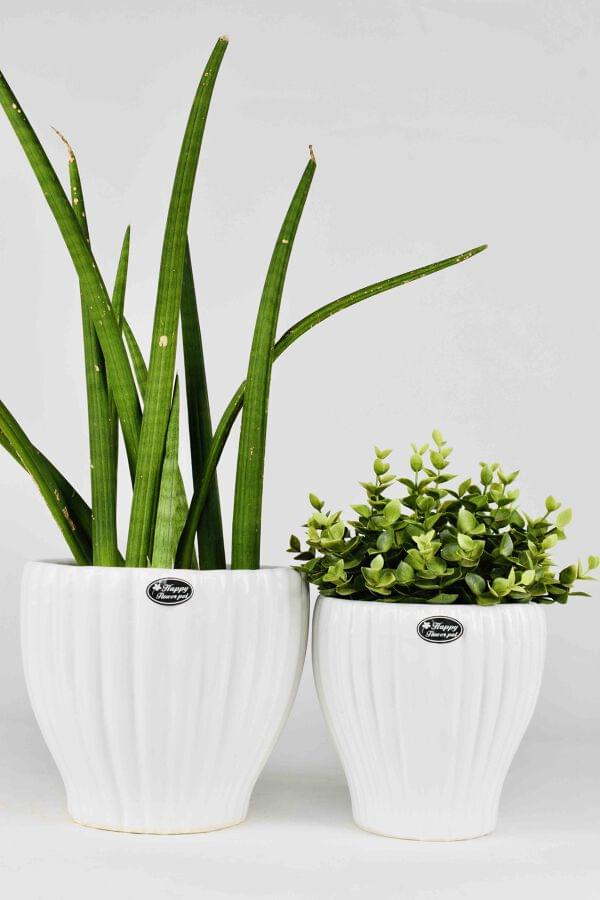 indoor-pots-ready-stock-2-dnf-ceramics